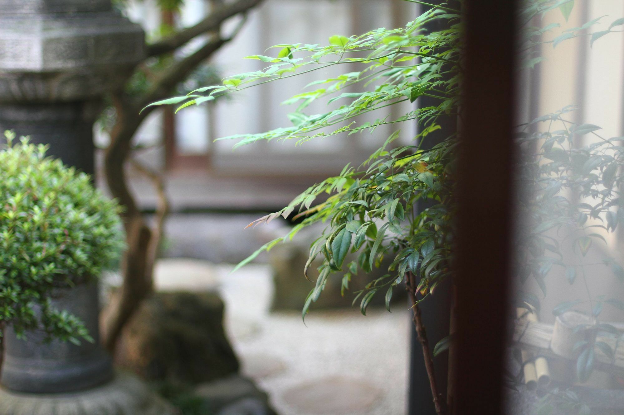 Guesthouse Kyoto Compass Exterior photo